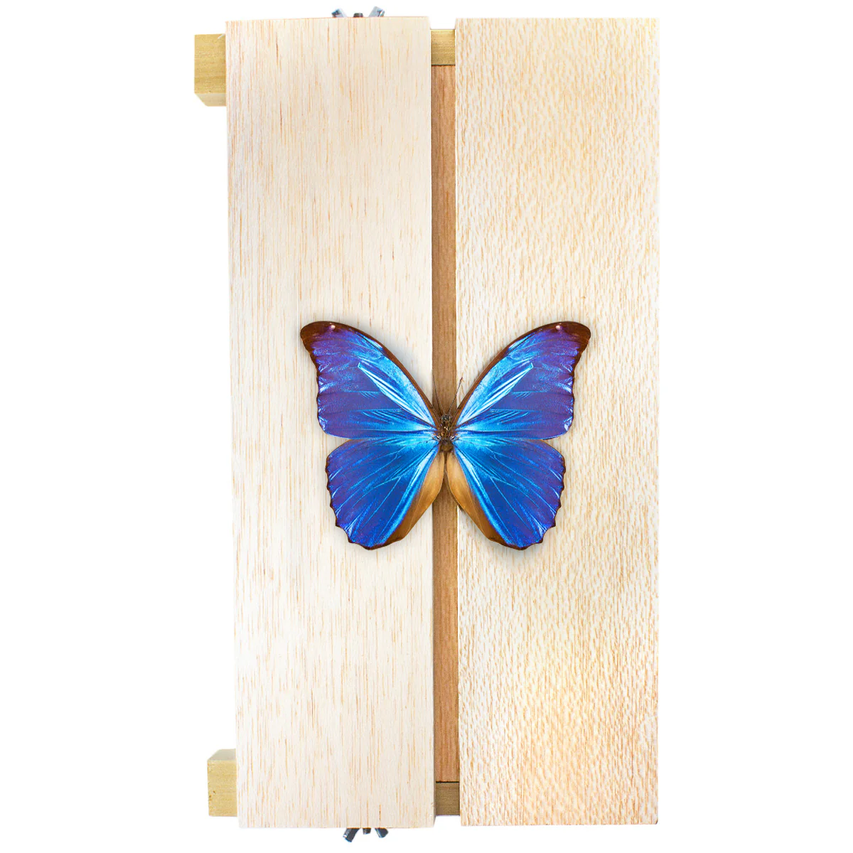 Adjustable Flat Spreading Boards - Image 4